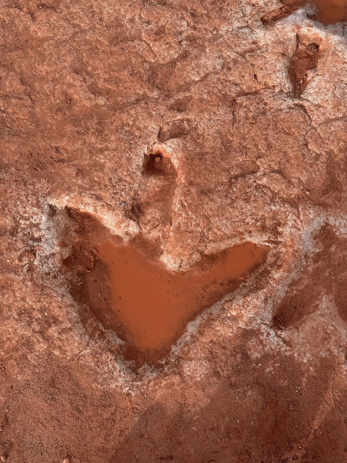 Track impression holding water