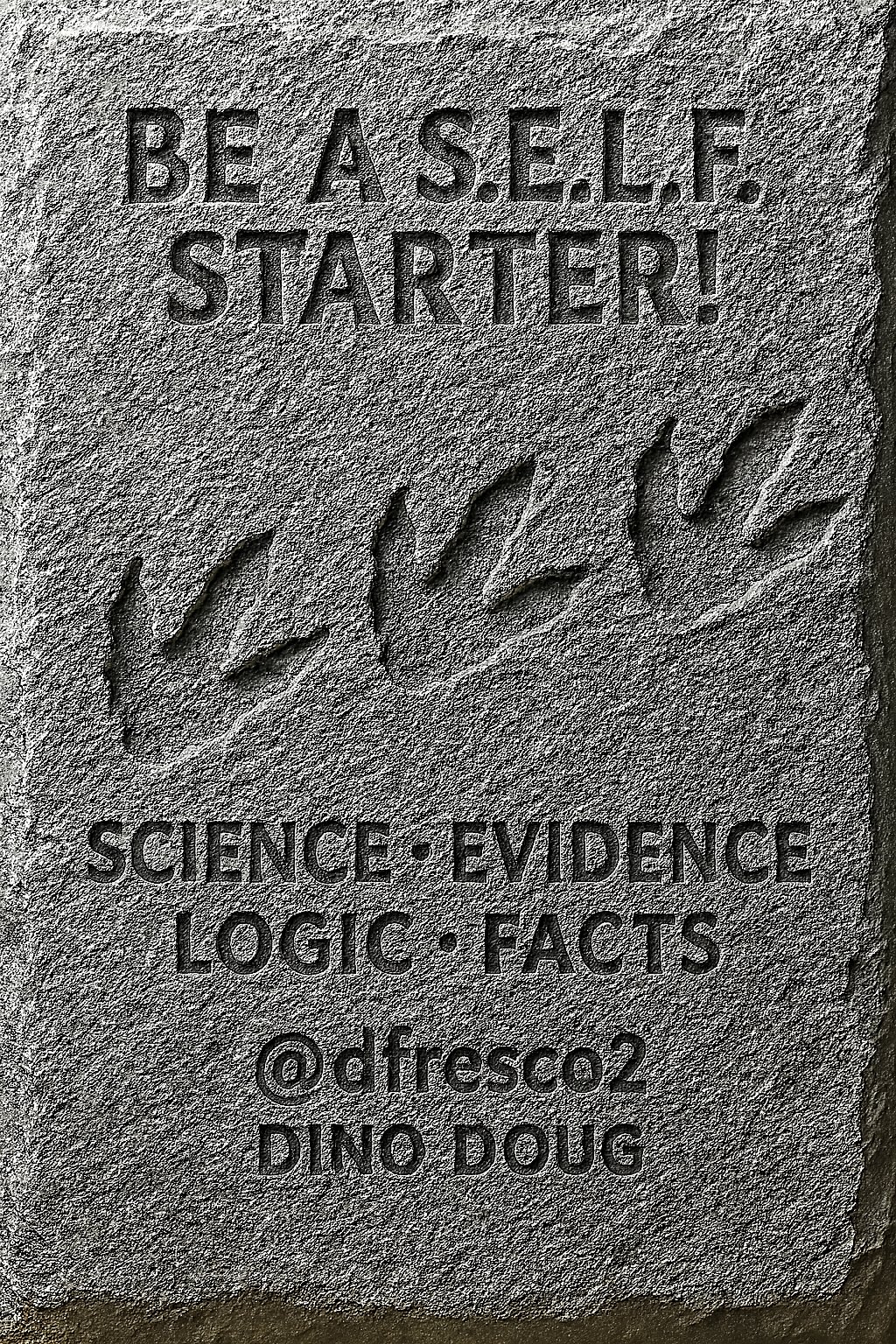 S.E.L.F. Starter badge